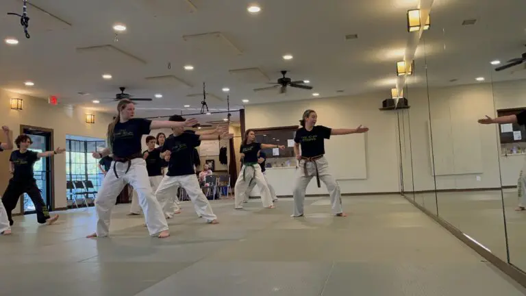 best martial arts Austin