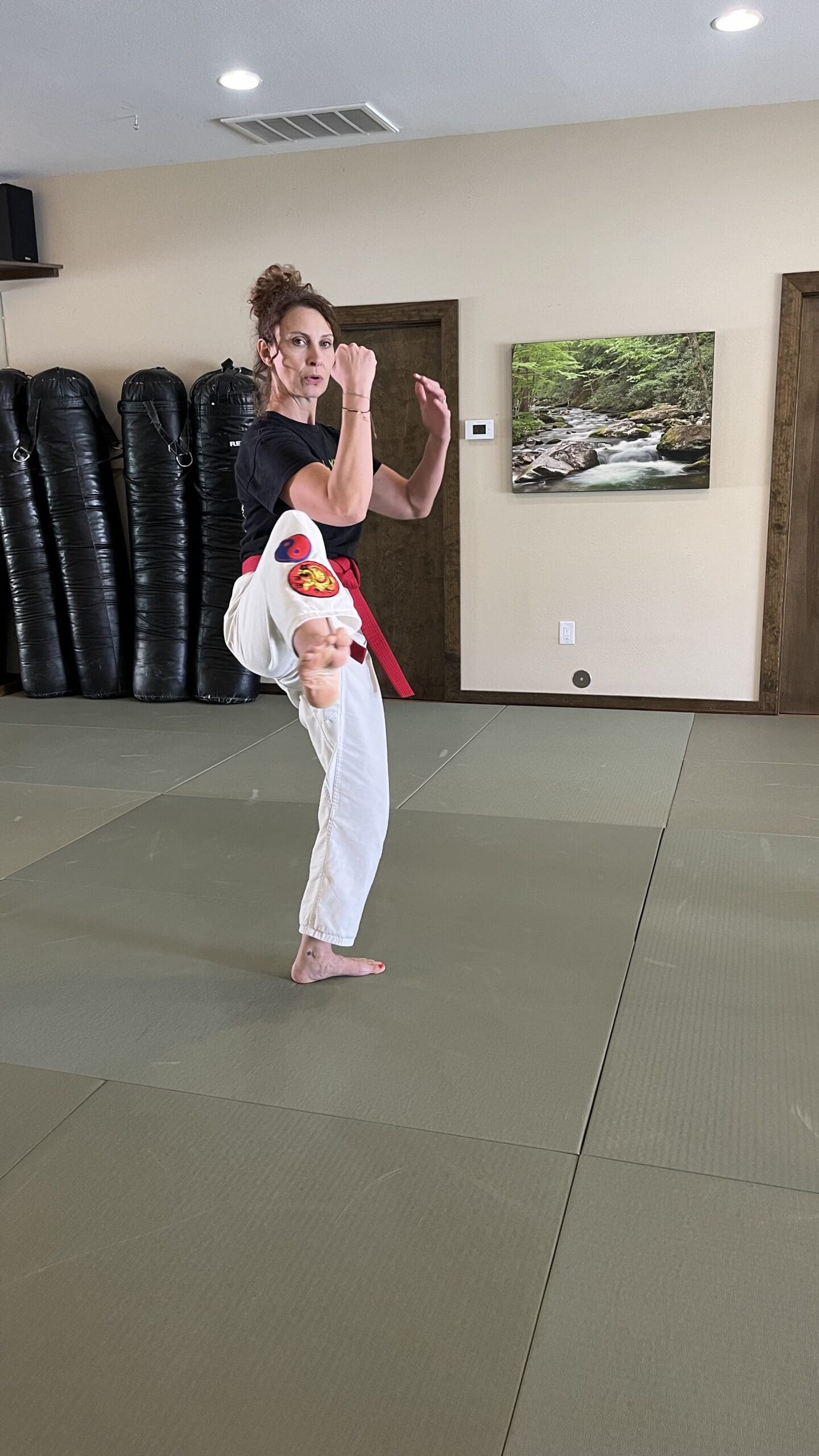 practical self defense