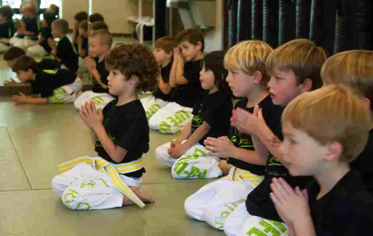 beginner martial arts class for children in Westlake