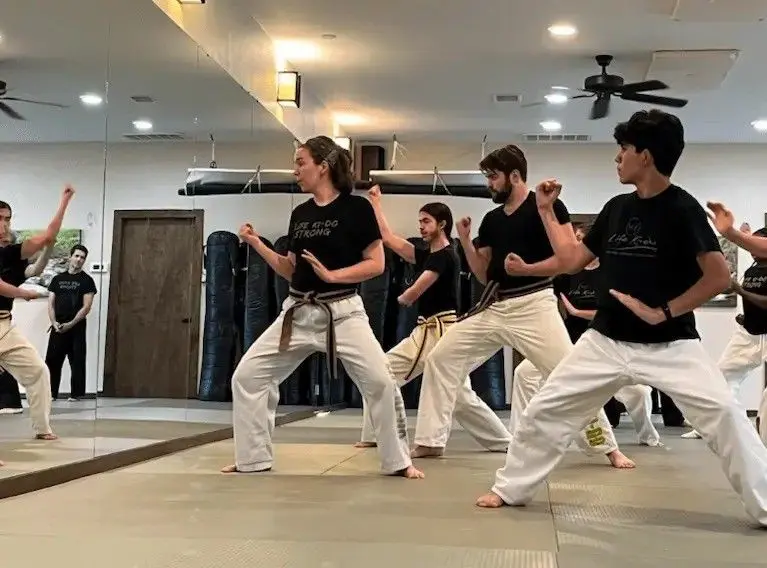 group Brazilian jiu jitsu class in a fighting stance
