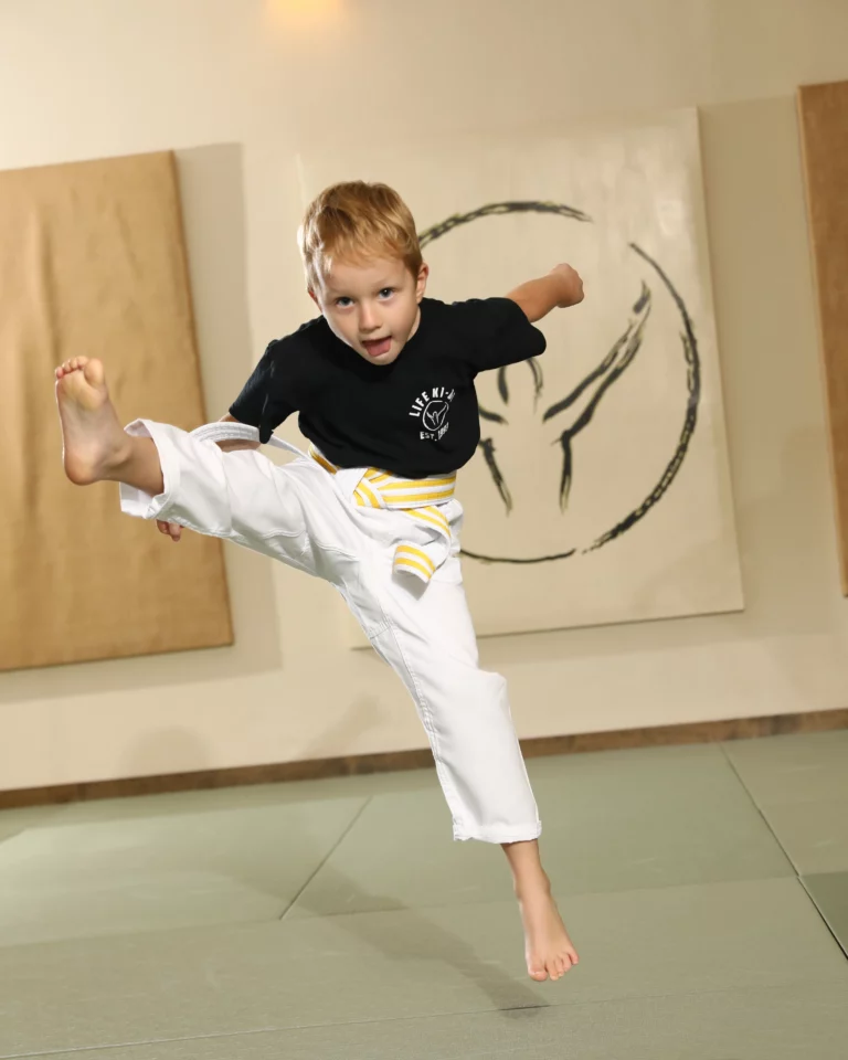 Martial Arts Classes in Austin TX | Life Ki-do &mdash; Westlake & South Austin