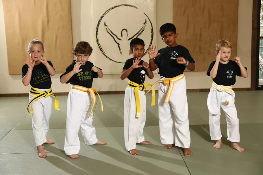 Is Martial Arts Safe? What to Look for in a School | Life Ki-do